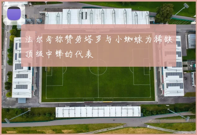 法尔考称赞劳塔罗与小蜘蛛为稀缺顶级中锋的代表