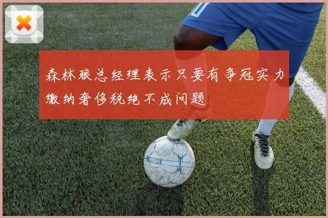 森林狼总经理表示只要有争冠实力缴纳奢侈税绝不成问题